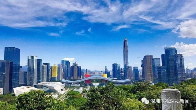 全國首例！深圳市財政局作出政府采購行政裁決決定書