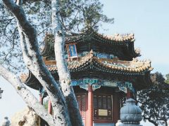 景山公園山體限流生態(tài)效益顯現(xiàn)